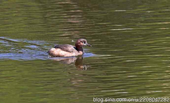 185.再见了小！