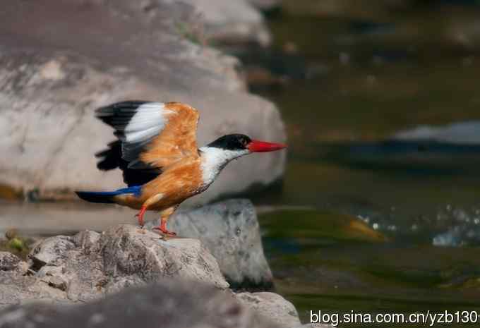 初次觐见幽州蓝妃（组图，12张图片）