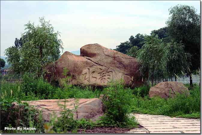  点击图片或使用键盘← →翻页