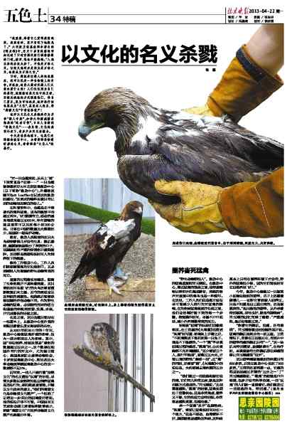 为何我如此厌恶玩鹰