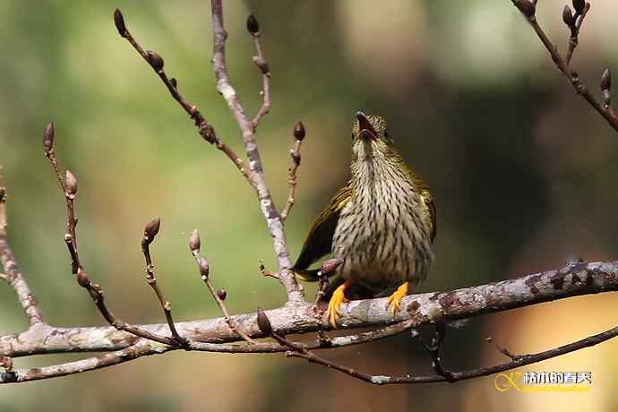 记录鈥溛票巢吨肽疋 记录鈥溛票巢吨肽疋
