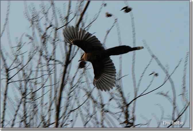点击图片或使用键盘← →翻页