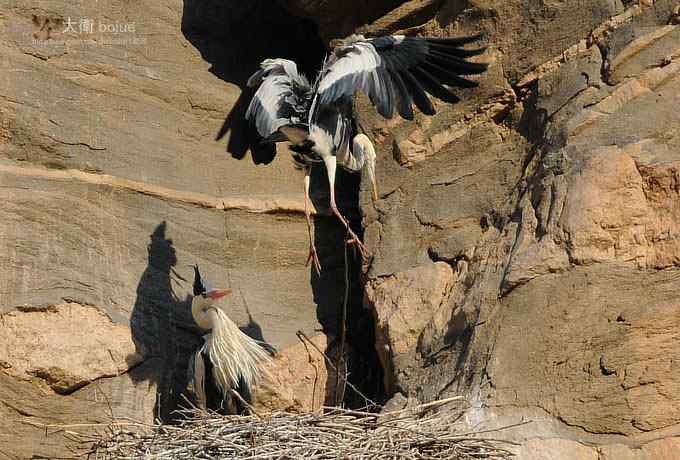 假日与家人一起愉快观鸟 假日与家人一起愉快观鸟