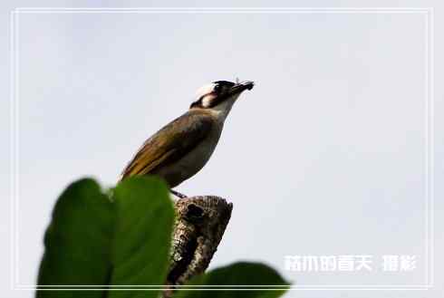 我与鈥湴淄佛恰綛ei】鈥