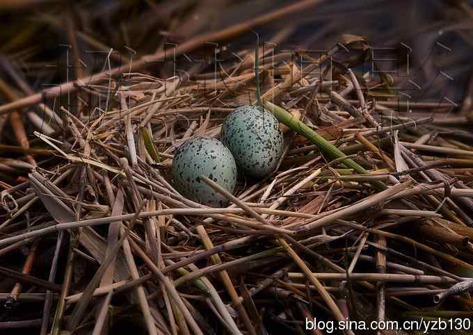 这世界，我来了！任凭风暴漩涡鈥︹Γㄗ橥迹25张图片）