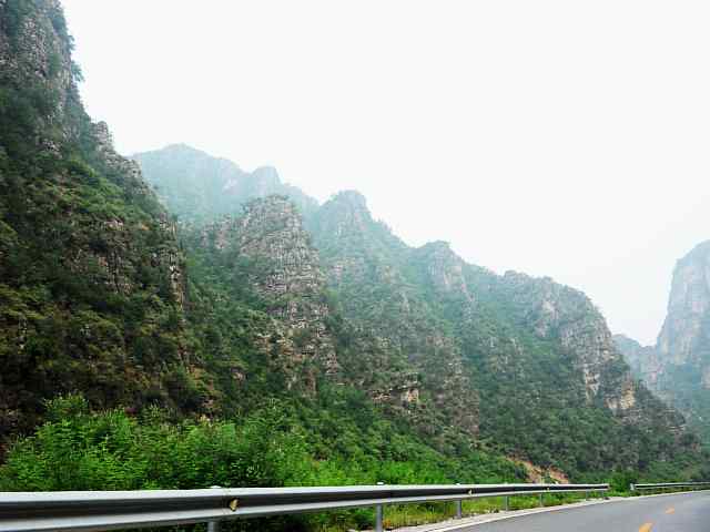 蒲洼围剿蓝矶鸫