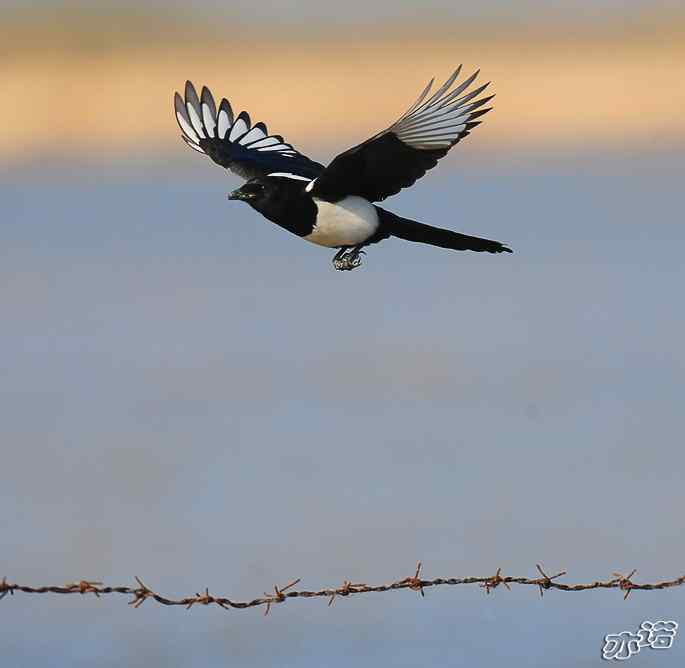 官厅水库&nbsp;wbr路&nbsp;wbr鈥湹刂麾澫踩