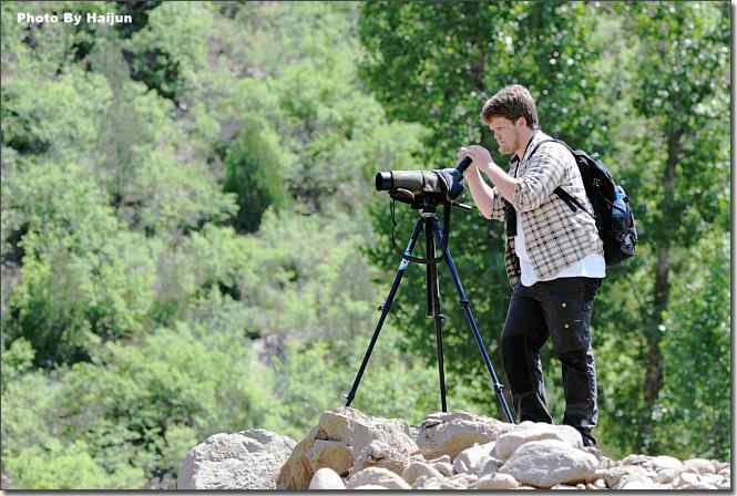  点击图片或使用键盘← →翻页