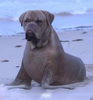 乱伦的后果 乱伦的后果