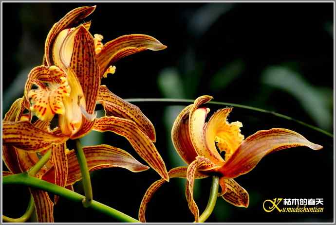 今天不拍鸟【照片】 今天不拍鸟【照片】