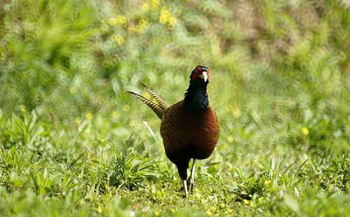 洋县朝圣鈥斺敾肪憋艏