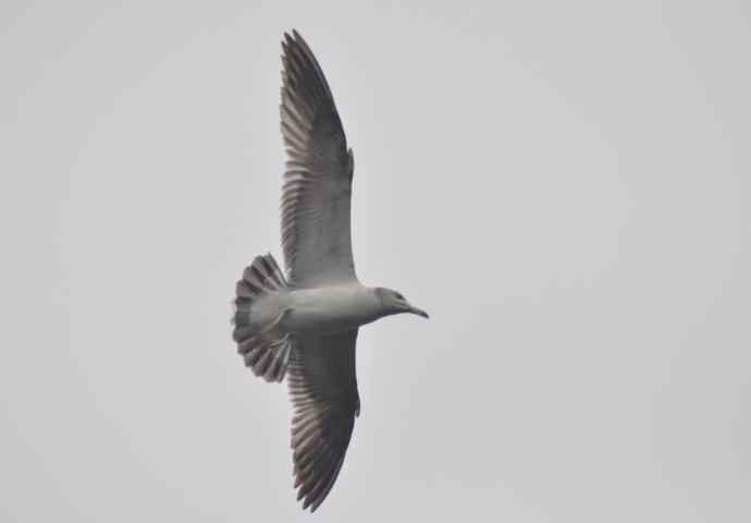 20100505当日总结