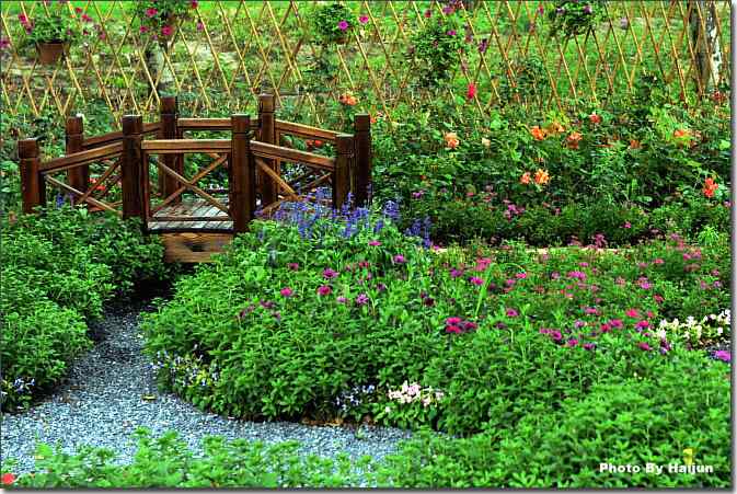  点击图片或使用键盘← →翻页