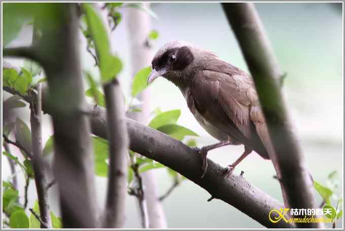 记录鈥満诹吃腽题潯菊掌