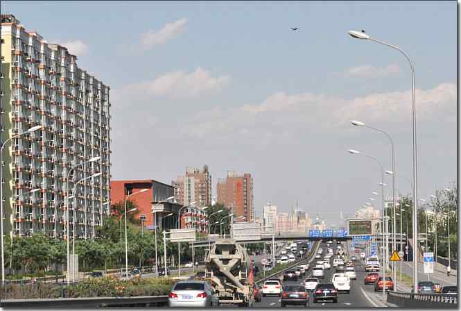 湿地拍鸟儿归来兮 点击图片或使用键盘← →翻页