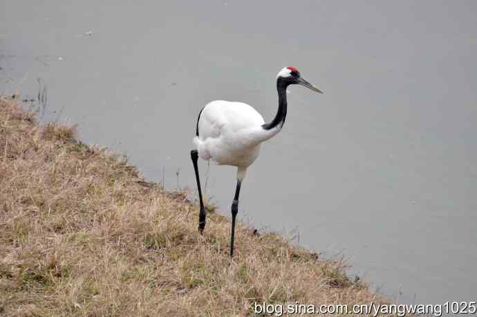 晚秋寻美 wbr wbr3