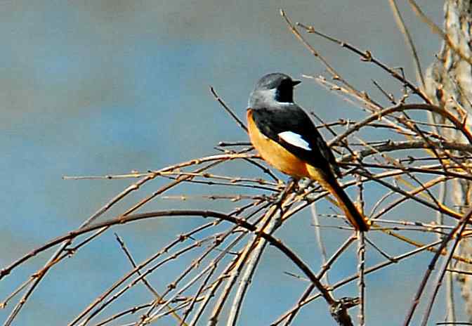 兴趣从这里开始(植物园)