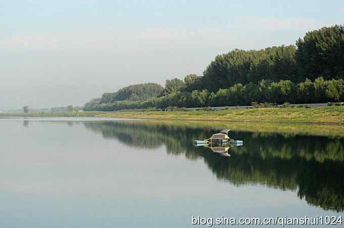 沙河水库.可爱小鸟环颈鸻