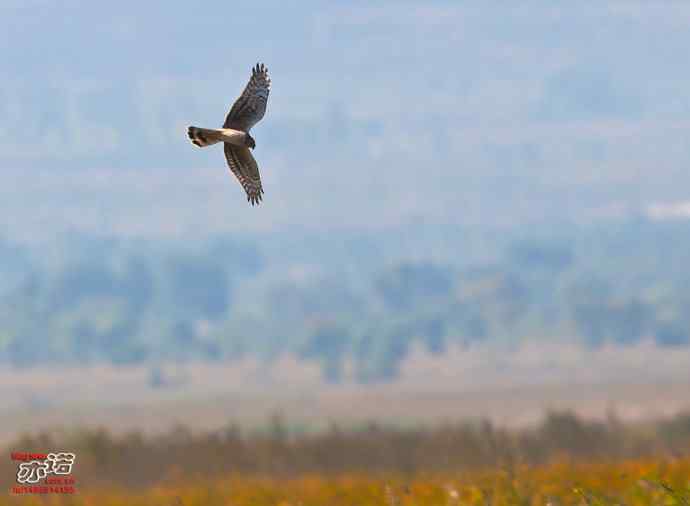 官厅水库&nbsp;wbr路&nbsp;wbr金秋十一猛