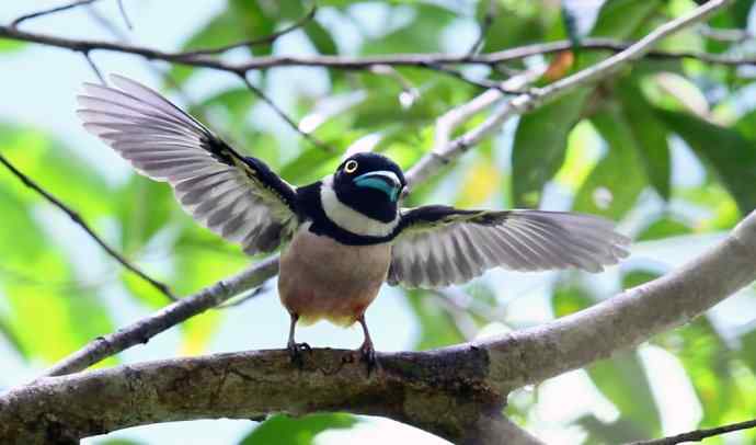 此情可待成追忆 wbr只是当时已惘然（我的阔嘴情缘）