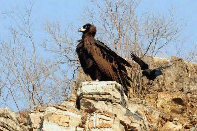 小鬼难缠 wbr鹰雄气短☆ 小鬼难缠 wbr鹰雄气短☆