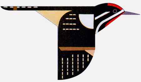 【视频】美国康奈尔大学鸟类学实验室的美丽风景和野生动物