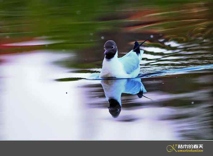 气定神闲鈥満熳炫糕