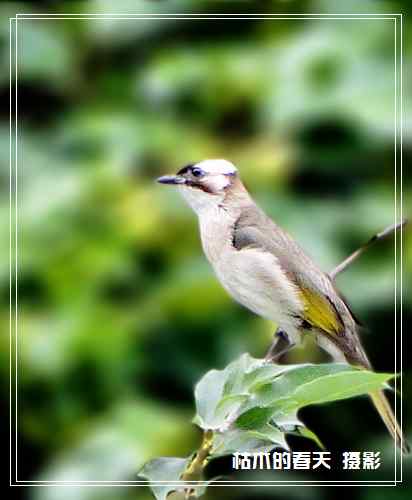 我与鈥湴淄佛恰綛ei】鈥