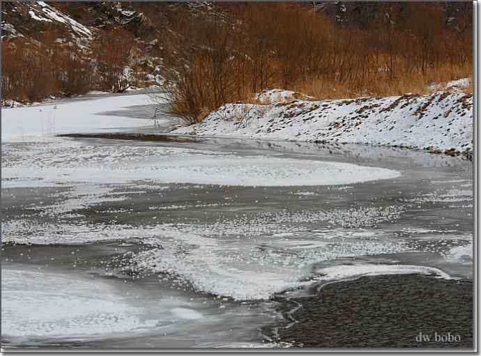 白河峡谷 鸟的乐园