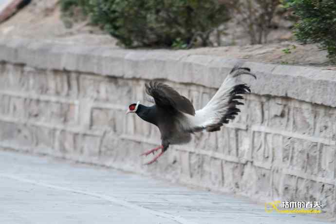 玄中古寺拍鈥満致恚Γ┾