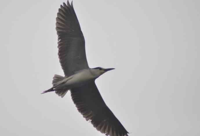 20100505当日总结