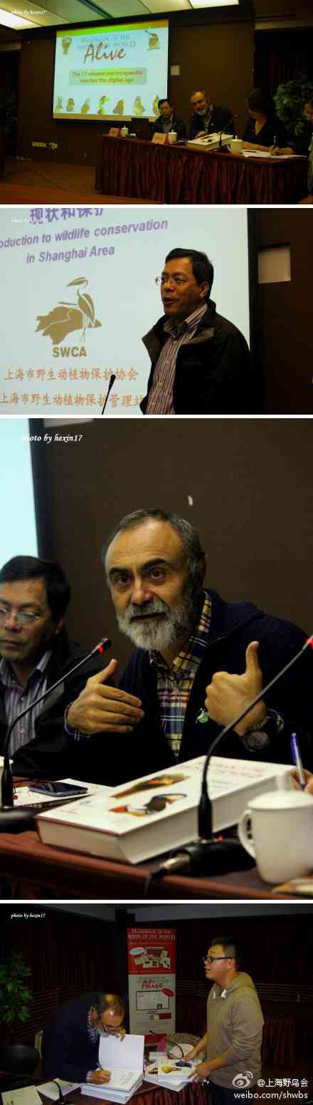 《世界鸟类手册》作者来上海分享观鸟故事