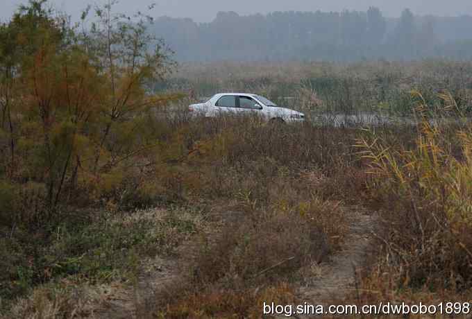 东花园观鸟生境记录 东花园观鸟生境记录
