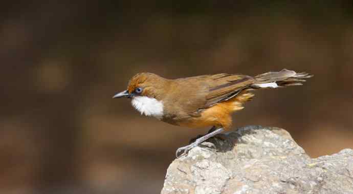 鈥溎稚酵踱澰诰┏堑某聊兆