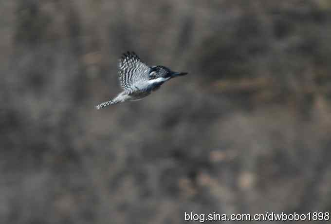 秋到白河湾 秋到白河湾