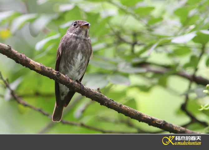 迁徙前哨鈥斺斘邡O【照片】