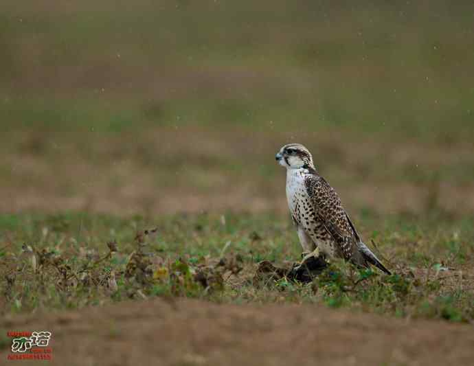 官厅水库 wbr路 wbr金秋十一猛 官厅水库 wbr路 wbr金秋十一猛
