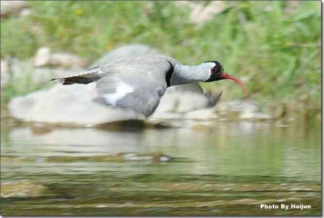  点击图片或使用键盘← →翻页