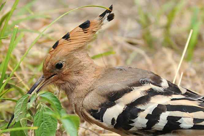  点击图片或使用键盘← →翻页