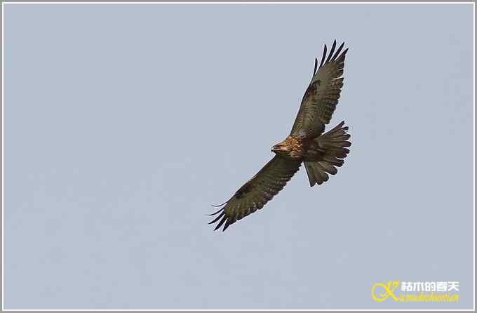 小鈥溩亓锄O莺鈥澯氪筲滪鈥潯菊掌