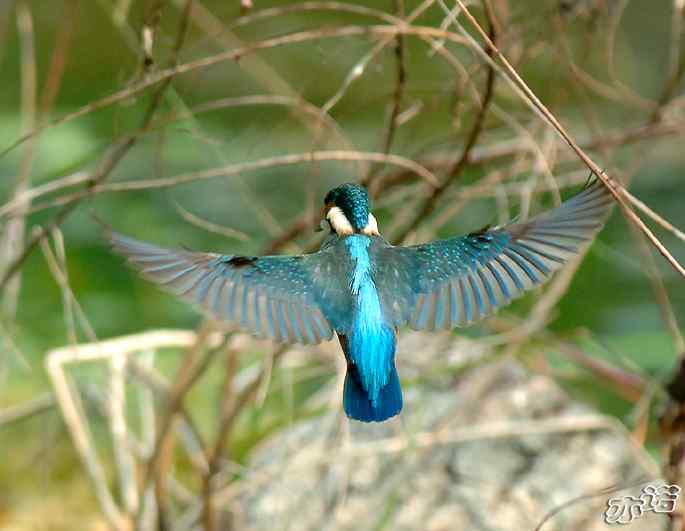 圆明园&nbsp;wbr路&nbsp;wbr小翠乖乖