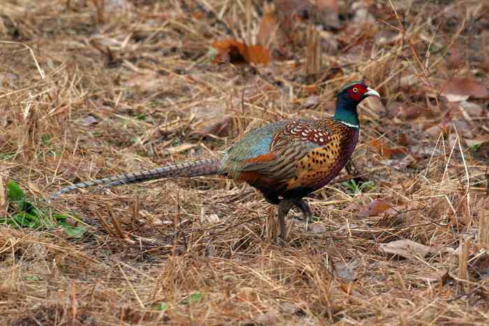 杭州老郑摄影续