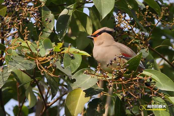 记录鈥溞√侥疋