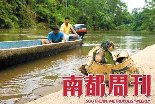 厄瓜多尔雨林：鹦鹉墓地