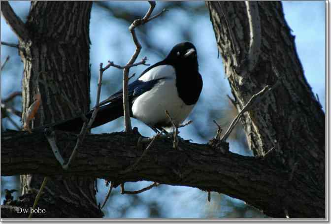 点击图片或使用键盘← →翻页