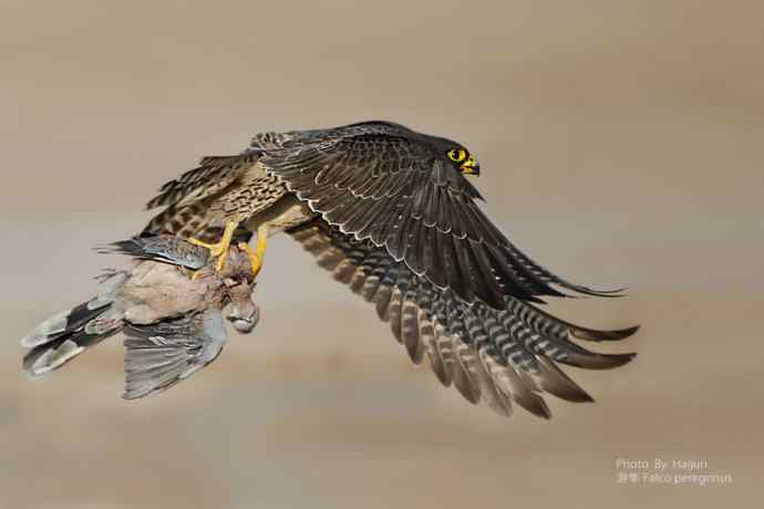 朝花夕拾 wbr温故知新