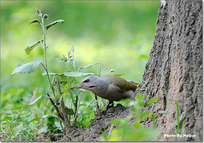  点击图片或使用键盘← →翻页