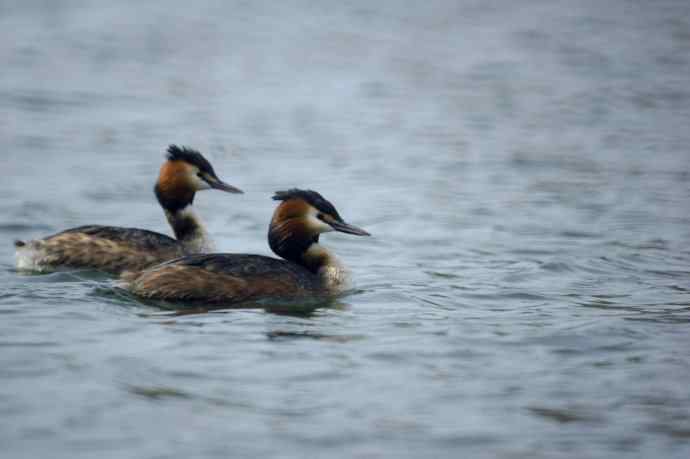 阳春三月闹爱情 阳春三月闹爱情