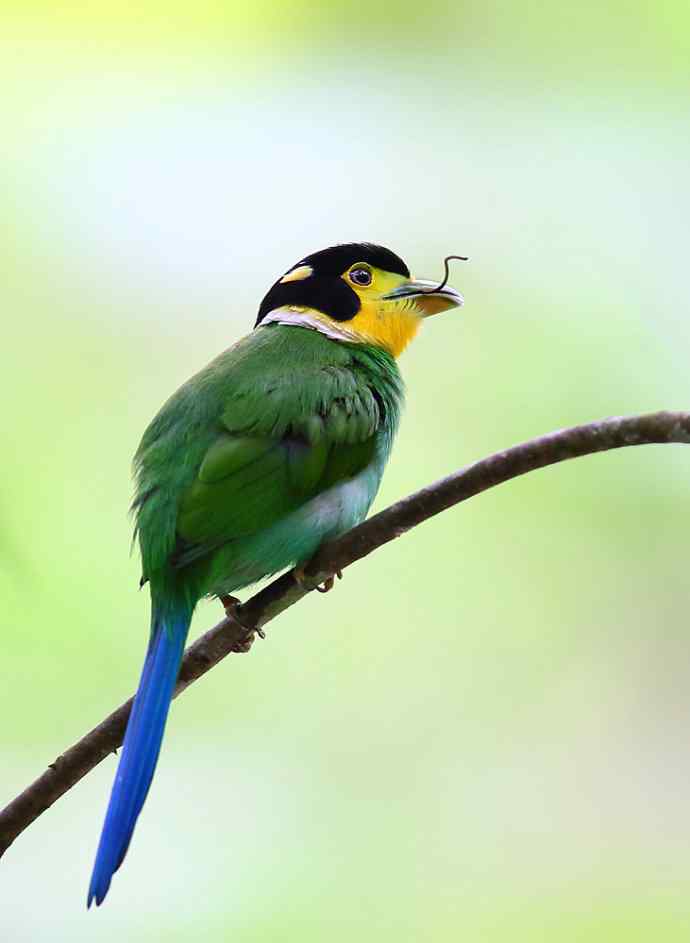 此情可待成追忆 wbr只是当时已惘然（我的阔嘴情缘）