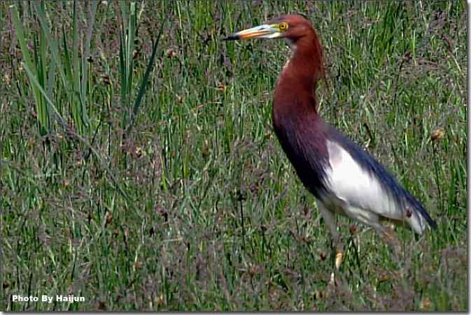  点击图片或使用键盘← →翻页